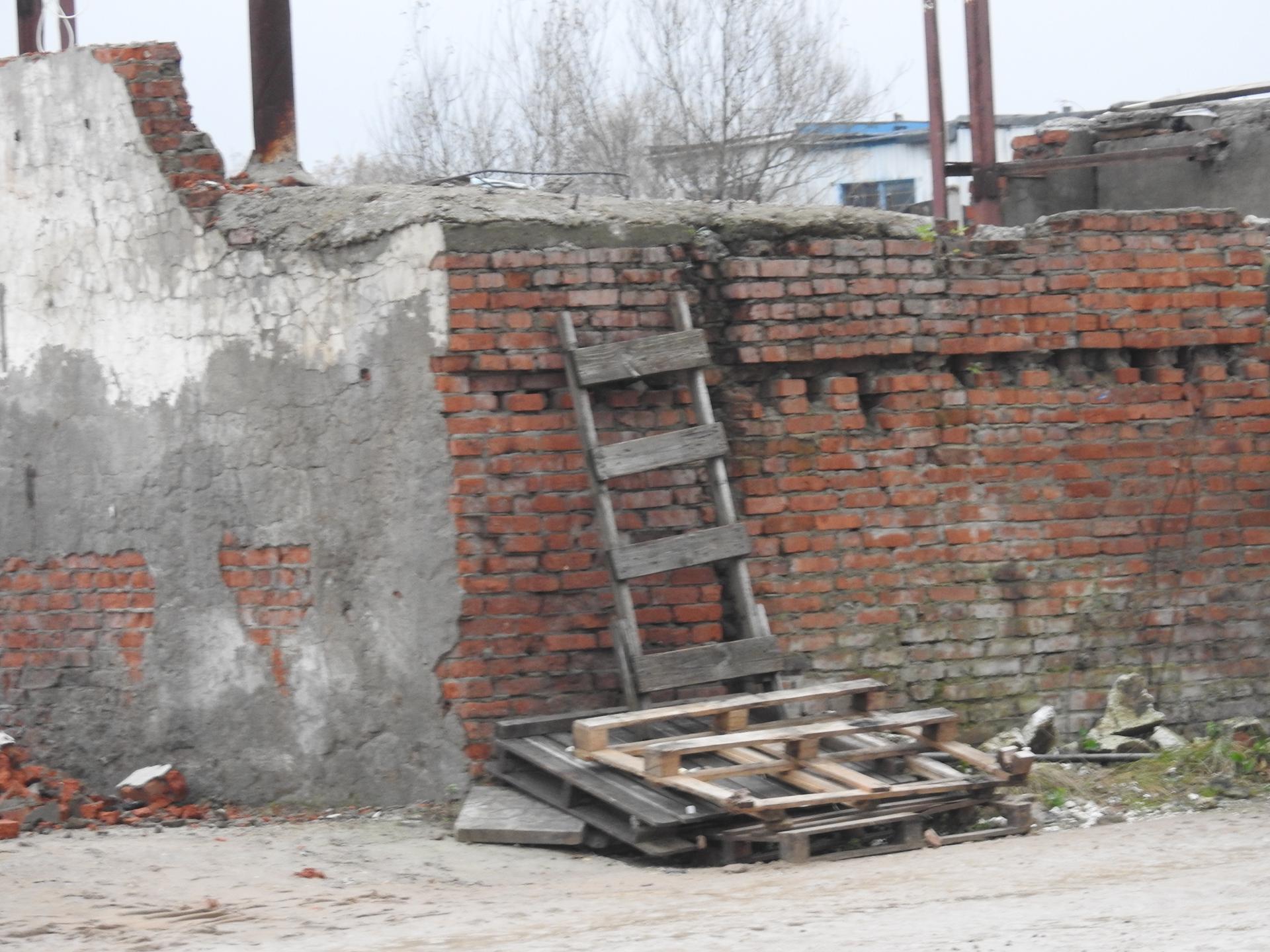 Заброшки» Подольска: водохранилище-призрак и старинная оранжерея | РИАМО в  Подольске | РИАМО в Подольске