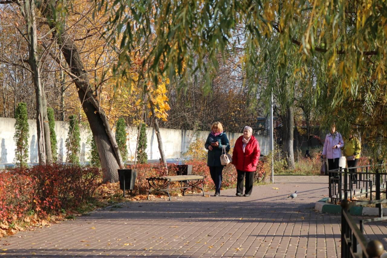 Названы города Подмосковья, где выгоднее всего купить загородный дом | РИАМО