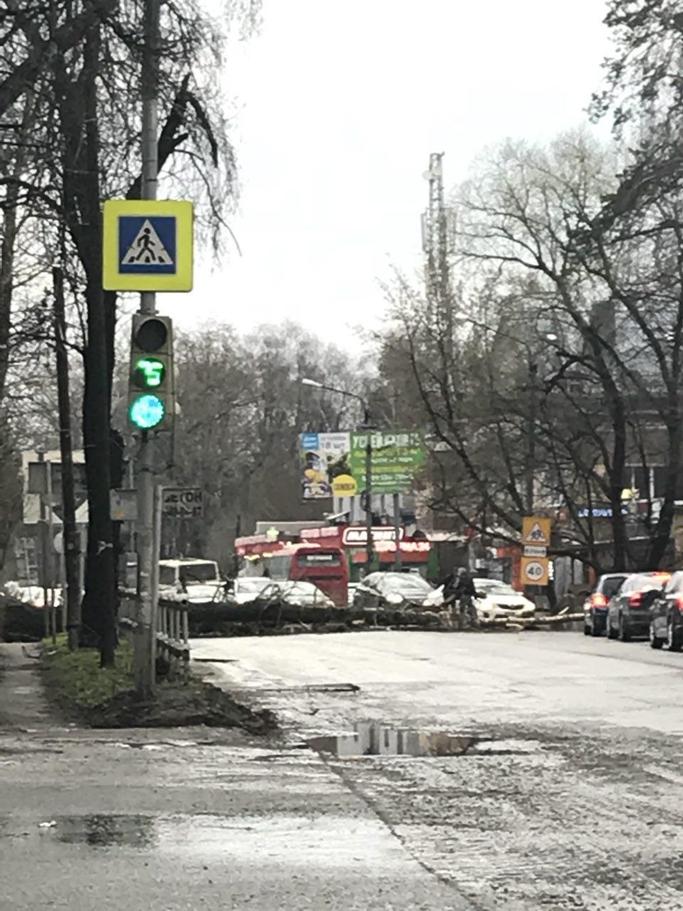 Носовихинское шоссе: что известно о планах по реконструкции проблемной  дороги | РИАМО в Балашихе | РИАМО в Балашихе