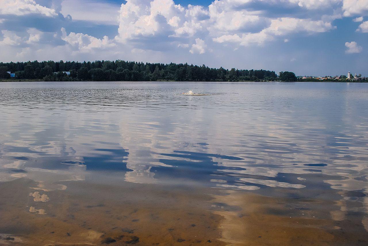 Рыбалка в Балашихе: где ловить рыбу в городе | РИАМО в Балашихе | РИАМО в  Балашихе