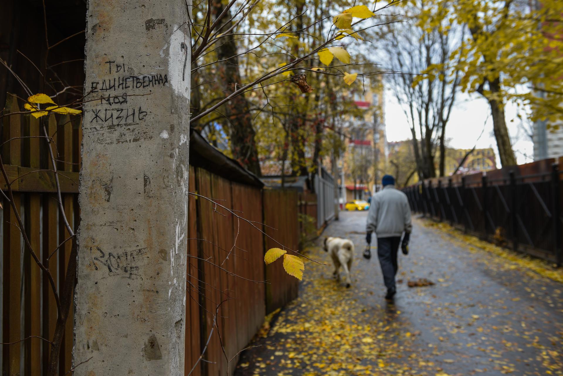 Экспериментальный «Сокол» — как сегодня живет поселок художников в Москве |  РИАМО | РИАМО