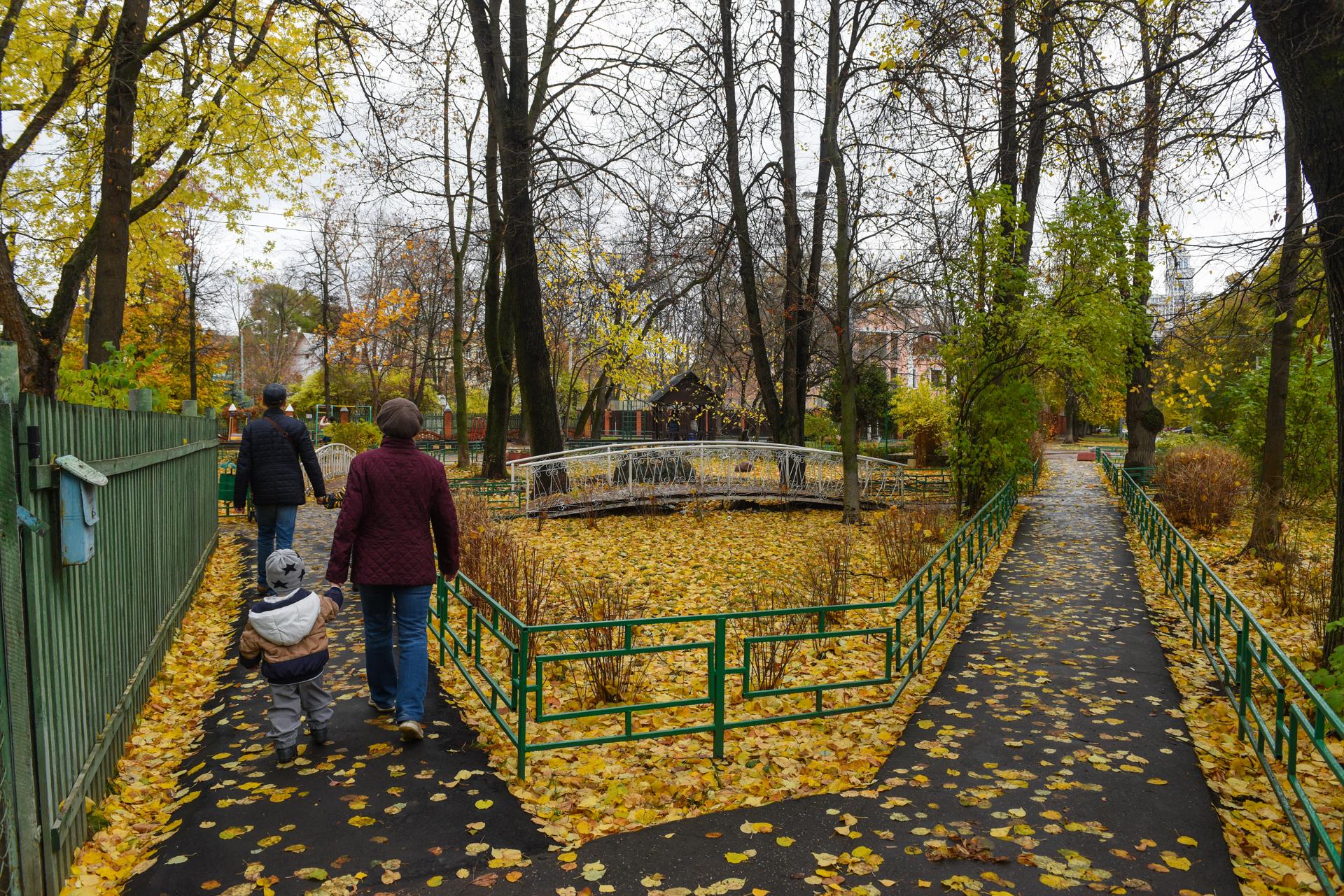 Экспериментальный «Сокол» — как сегодня живет поселок художников в Москве |  РИАМО | РИАМО