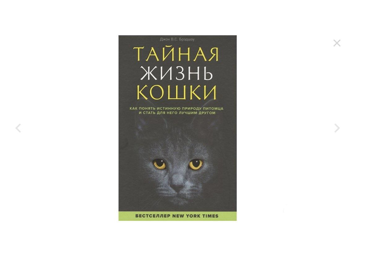 Как воспитать собаку или кошку: 10 книг о секретах общения с питомцами |  РИАМО | РИАМО