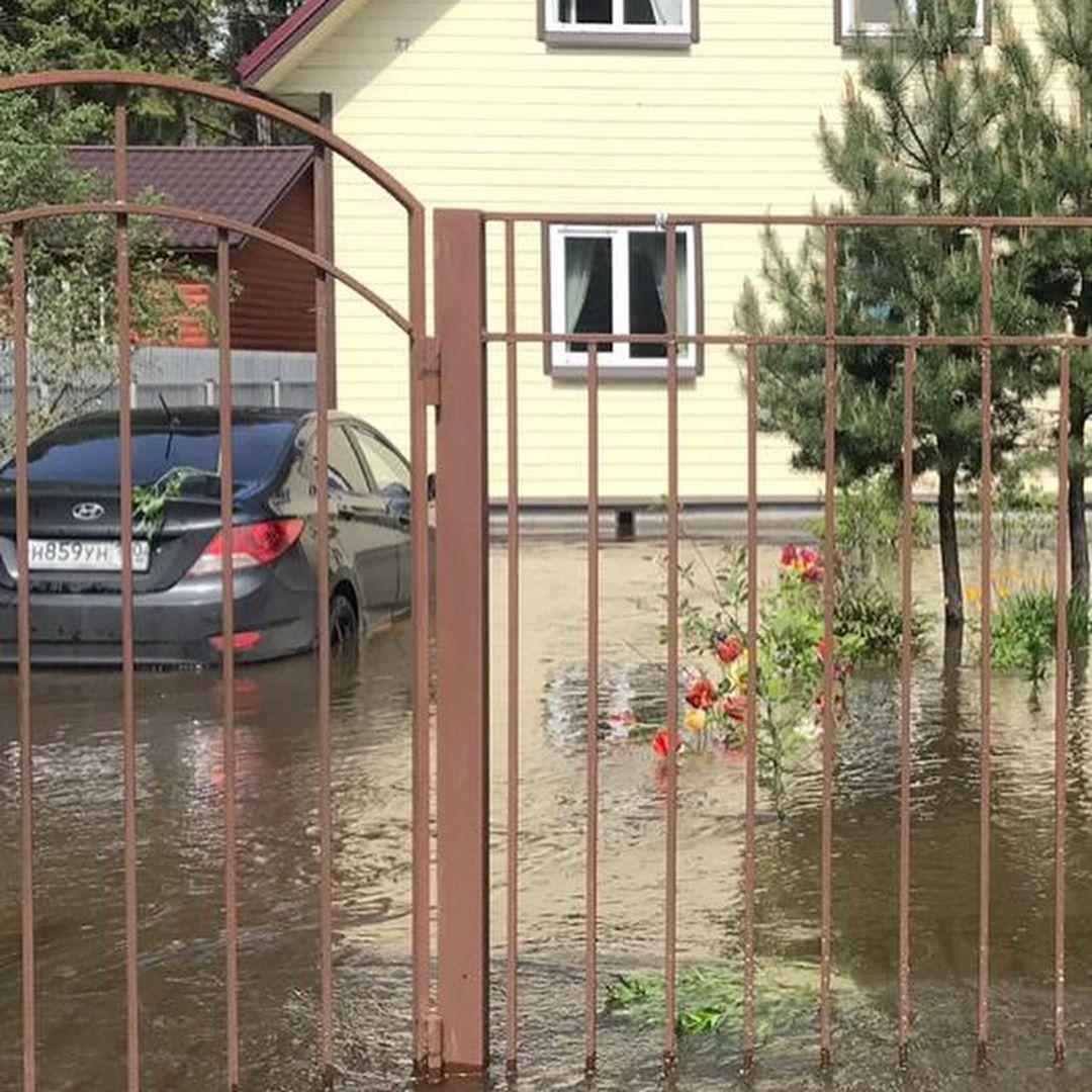 Паводок в Красногорске: затопленные дома, погибшие посадки, утки на участке  | РИАМО в Красногорске | РИАМО в Красногорске