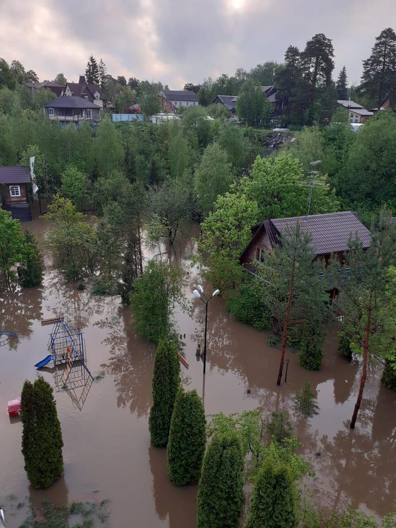 Паводок в Красногорске: затопленные дома, погибшие посадки, утки на участке  | РИАМО в Красногорске | РИАМО в Красногорске