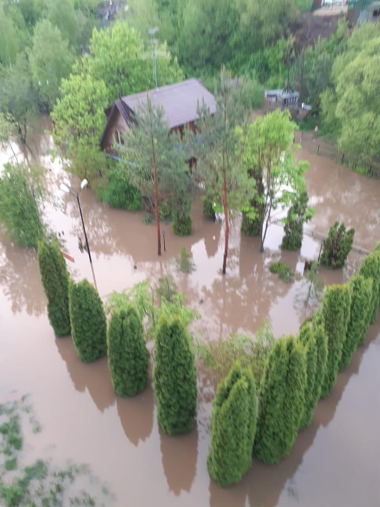 Паводок в Красногорске: затопленные дома, погибшие посадки, утки на участке  | РИАМО в Красногорске | РИАМО в Красногорске