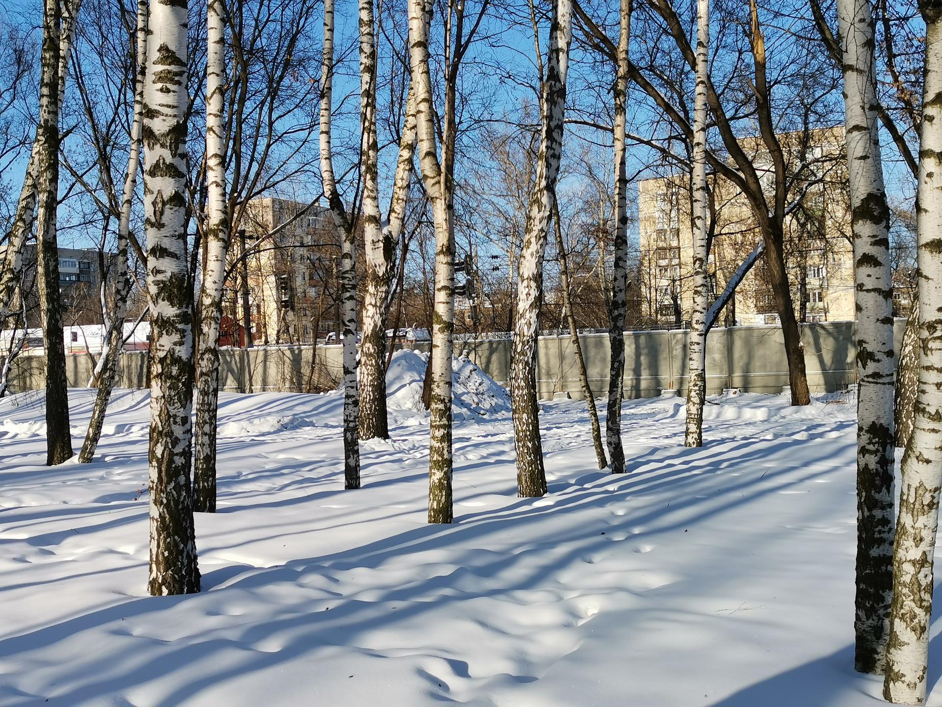 Станция Подлипки‑Дачные: когда сделают удобный и безопасный переход? |  РИАМО в Королёве | РИАМО в Королёве