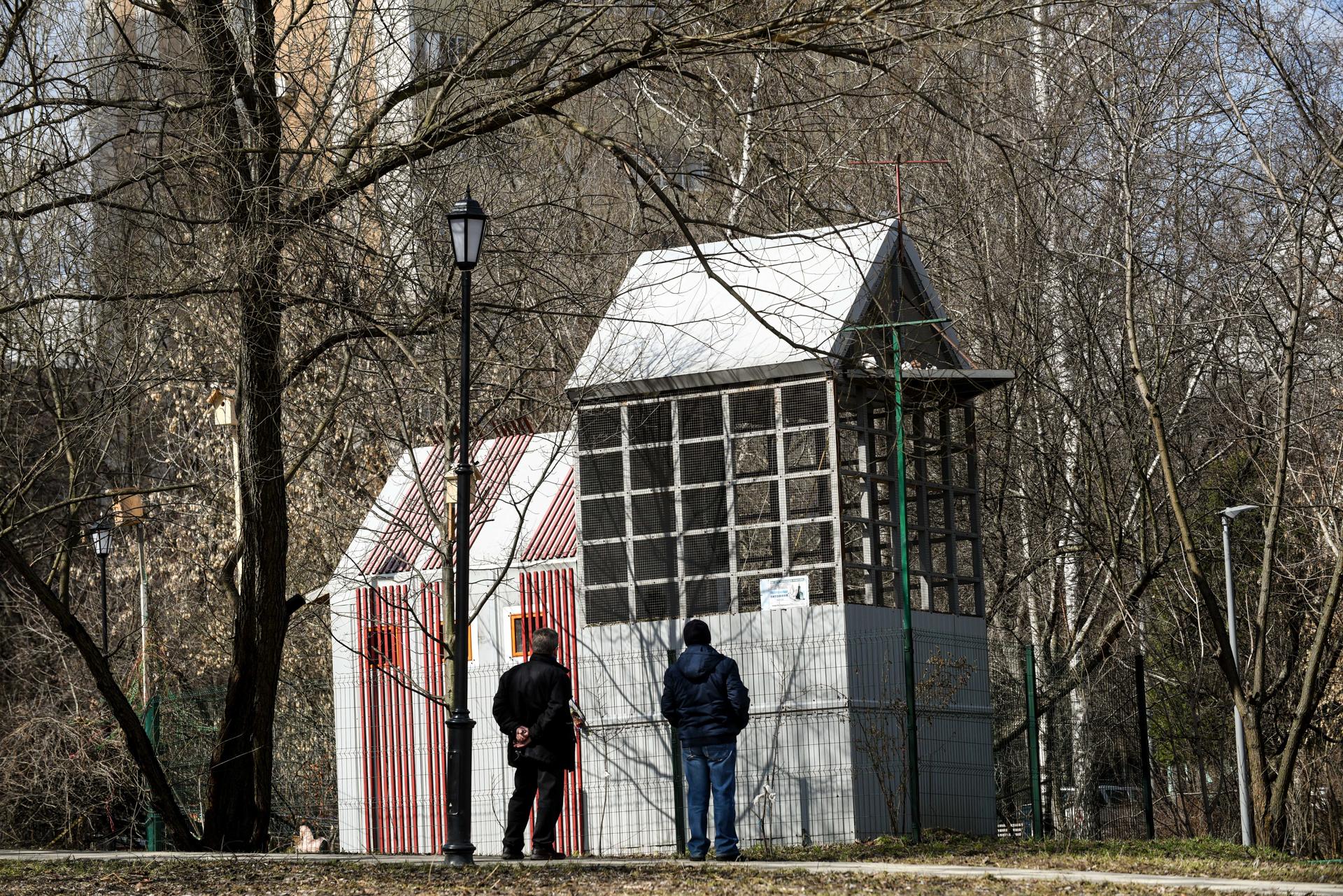 Голуби длиною в жизнь» – как живет самая современная московская голубятня |  РИАМО | РИАМО