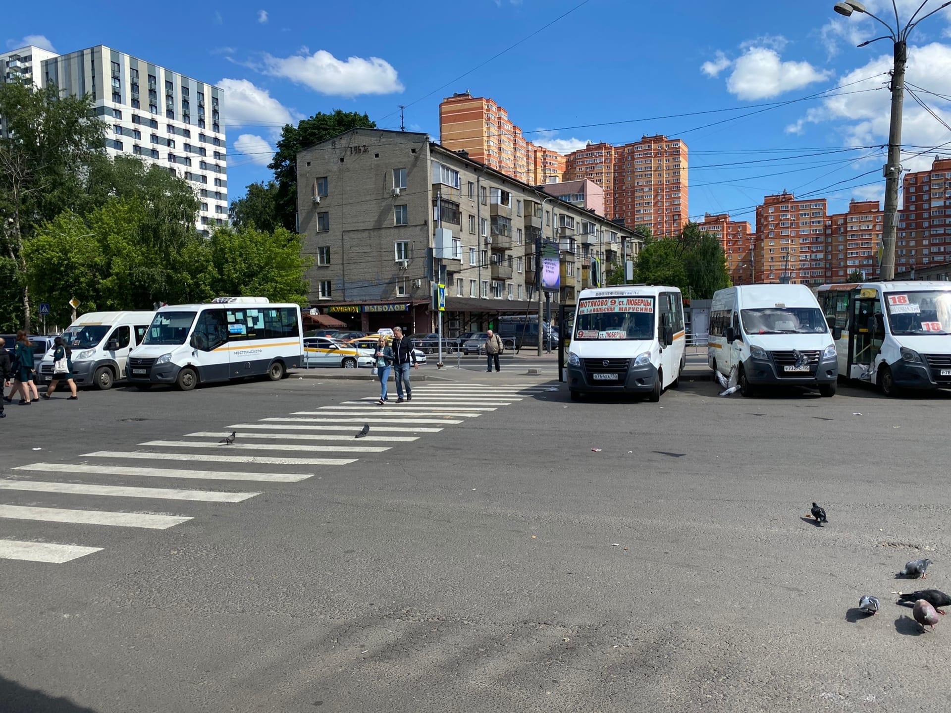 Льготный проезд на коммерческих маршрутах в Люберцах: кому положен и нюансы  | РИАМО в Люберцах | РИАМО в Люберцах