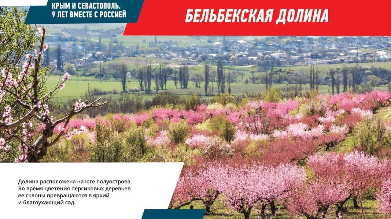 Девять лет с Россией: как преобразились экономика и инфраструктура Крыма с  2014 года | РИАМО | РИАМО