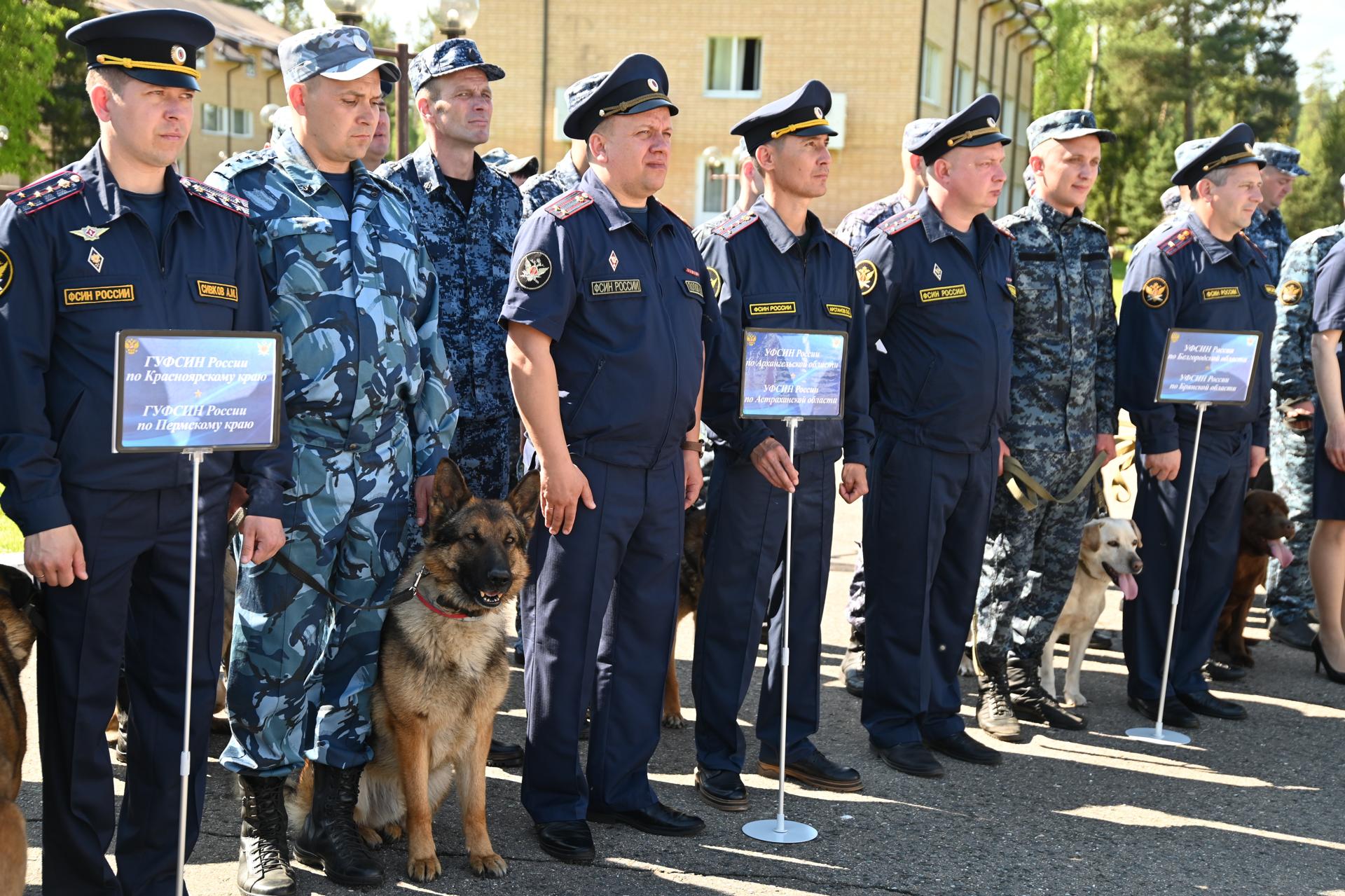 В Московской области стартовал Чемпионат ФСИН России по многоборью  кинологов | РИАМО